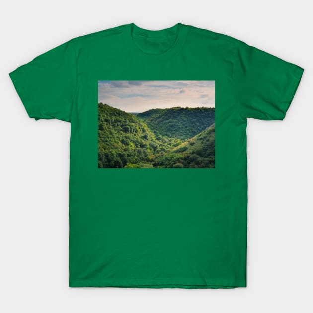 forest on the hills T-Shirt by psychoshadow